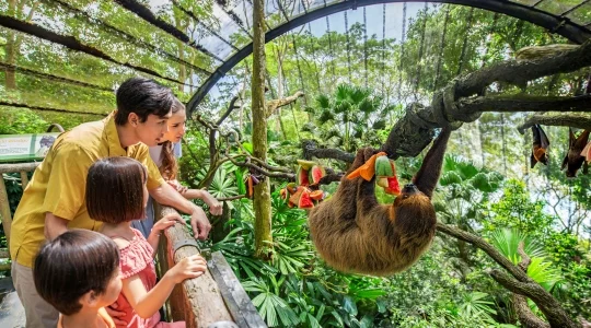 シンガポール動物園